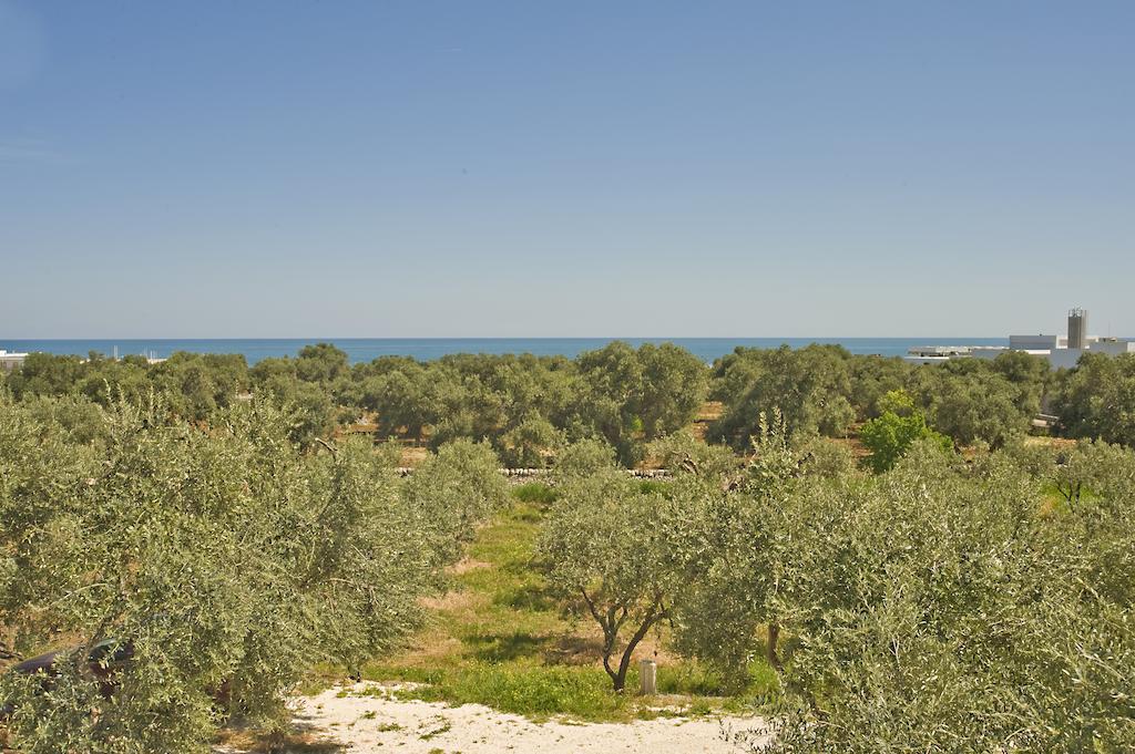 مونوبولي Masseria Spina Resort الغرفة الصورة