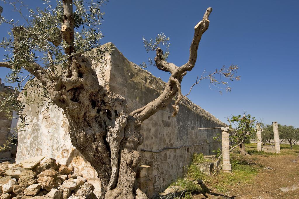 مونوبولي Masseria Spina Resort الغرفة الصورة