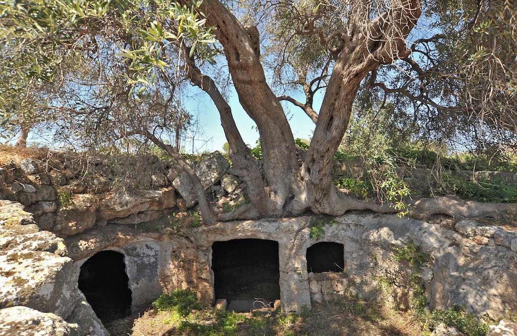 مونوبولي Masseria Spina Resort المظهر الخارجي الصورة